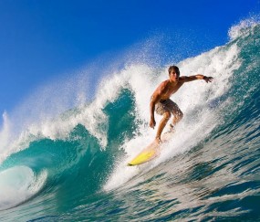 开云体育视频直播-森林狼对阵太阳，字母哥主宰比赛走向