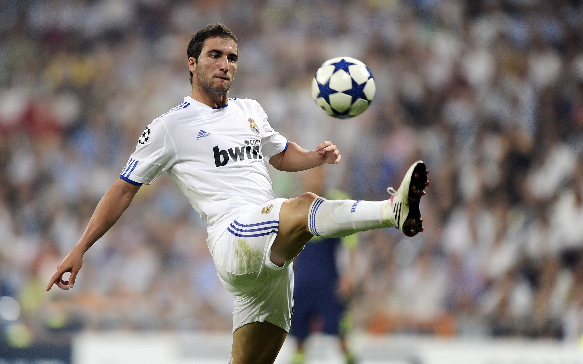 绿茵场与乒乓台的双重奏，葡萄牙轻取奥地利，许昕赛场高光闪耀